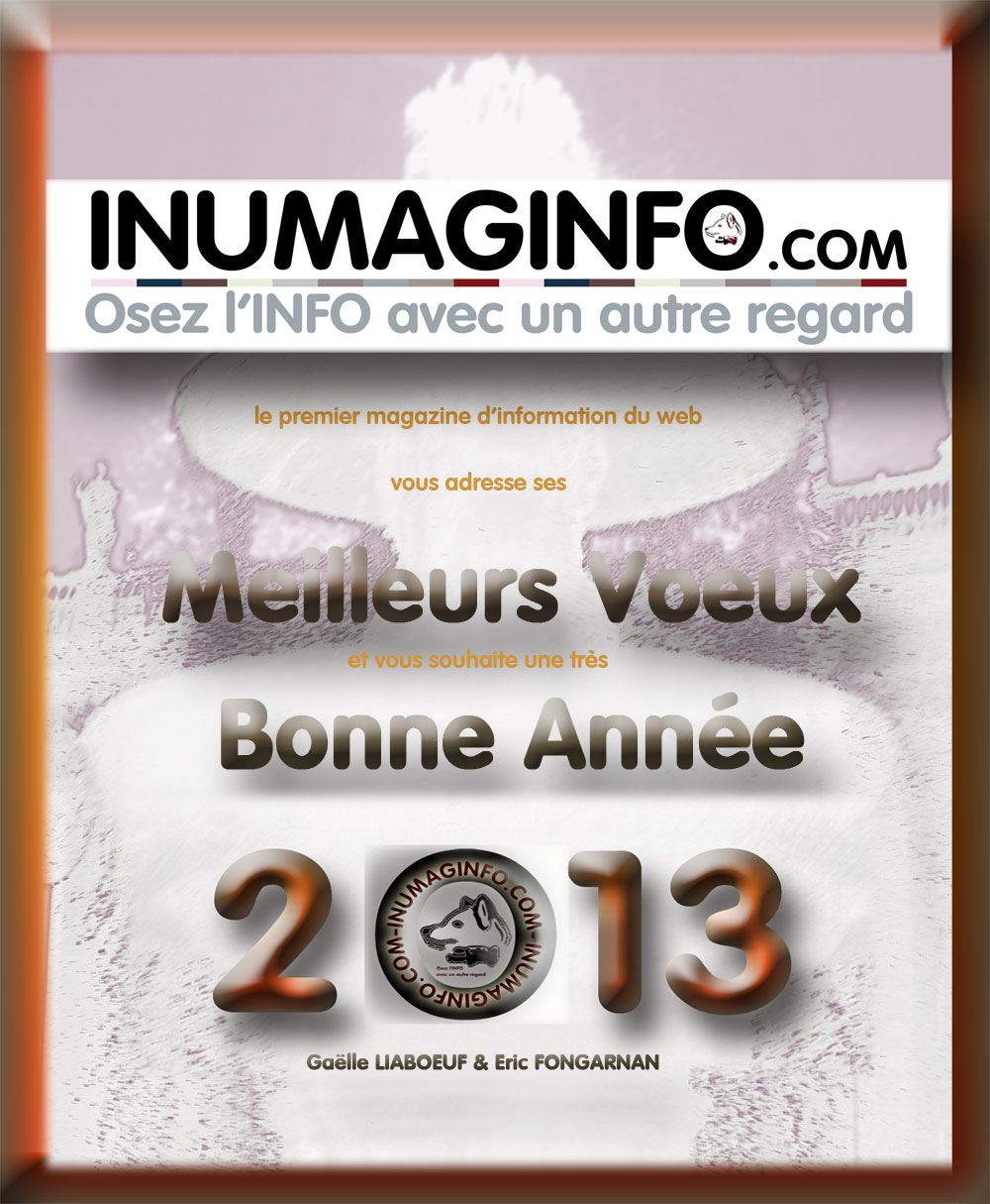 affiche voeux 2013 - inumaginfo.com