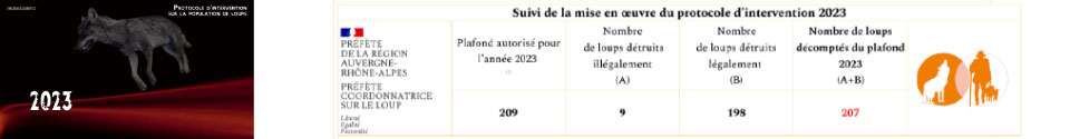 magazine information reportages video inumaginfo
