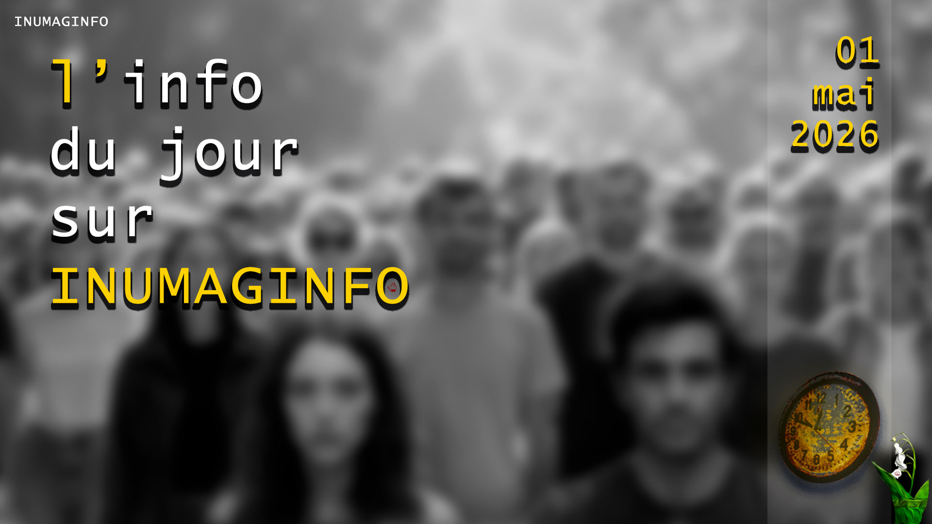 magazine information reportages video inumaginfo